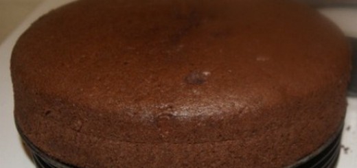 Chocolate sponge cake with cocoa powder - simple and fluffy