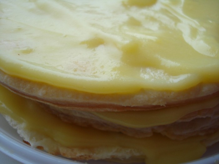  Vanilla custard with milk for cake 