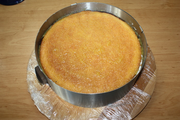 Cottage cheese and yogurt cake with velor