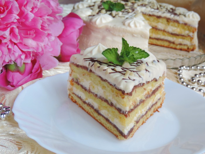 Biscuit cake with curd cream and chocolate layer
