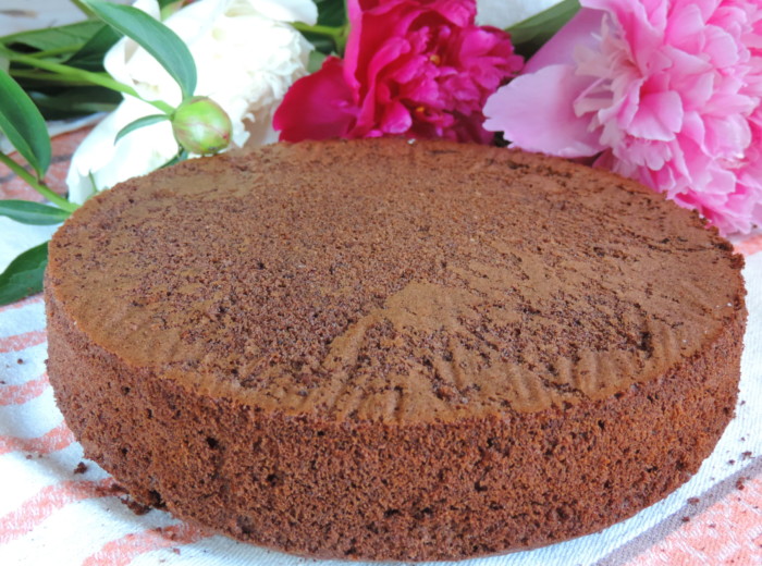 Chocolate sponge cake with cocoa in the oven