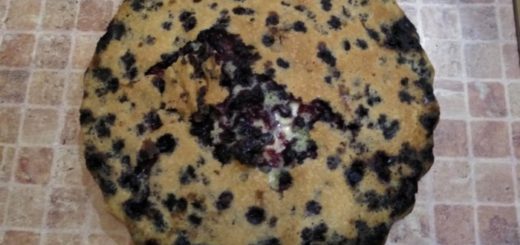 Biscuit for Tiramisu with blueberries